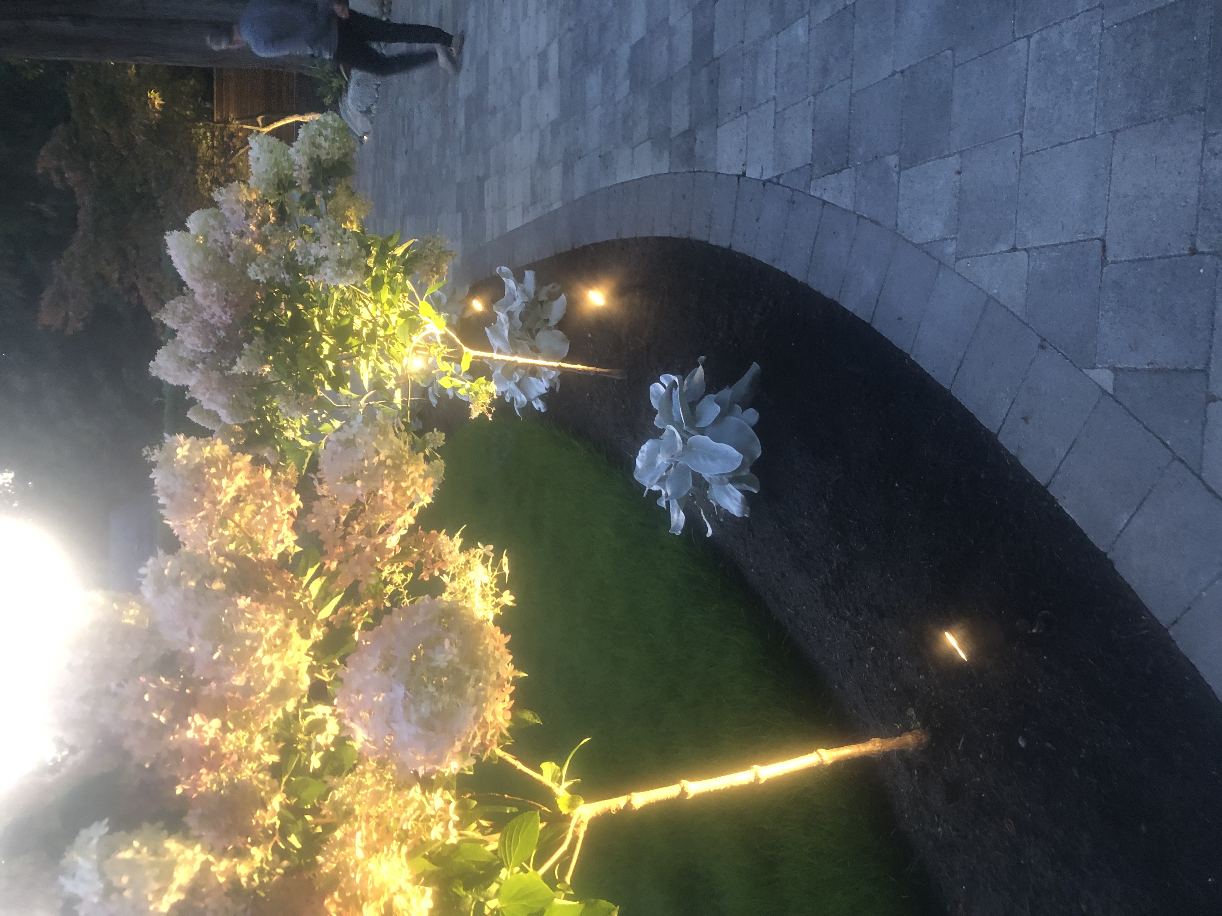 Garden with low voltage landscape uplighting at night