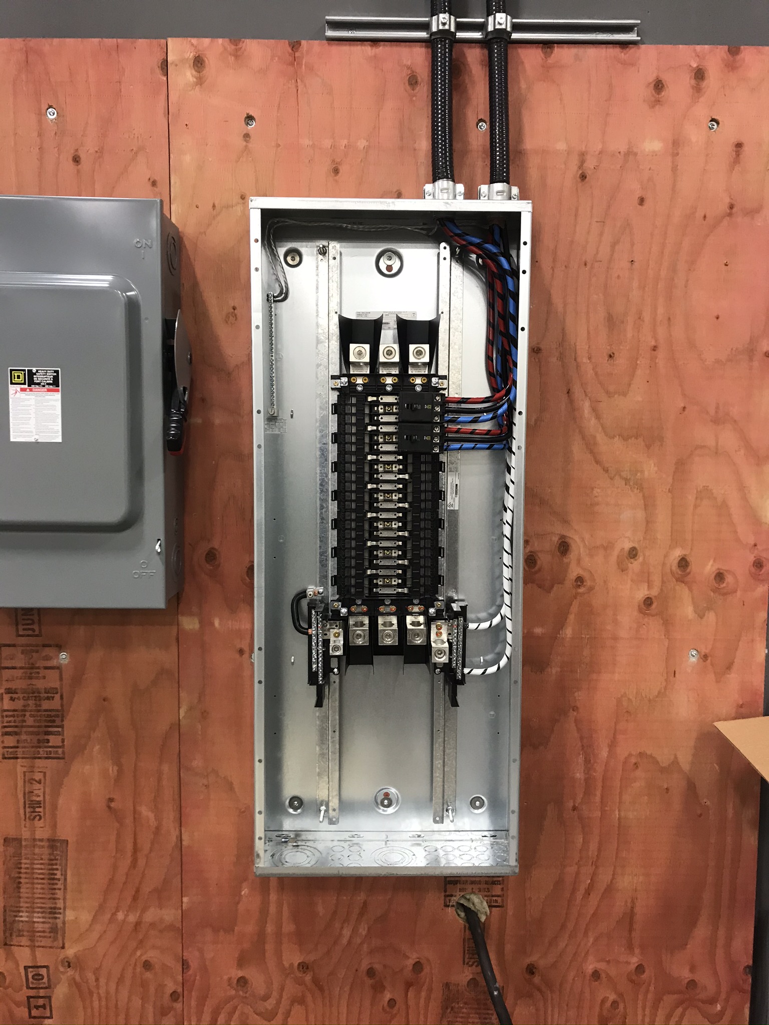Panel with disconnect and organized wiring