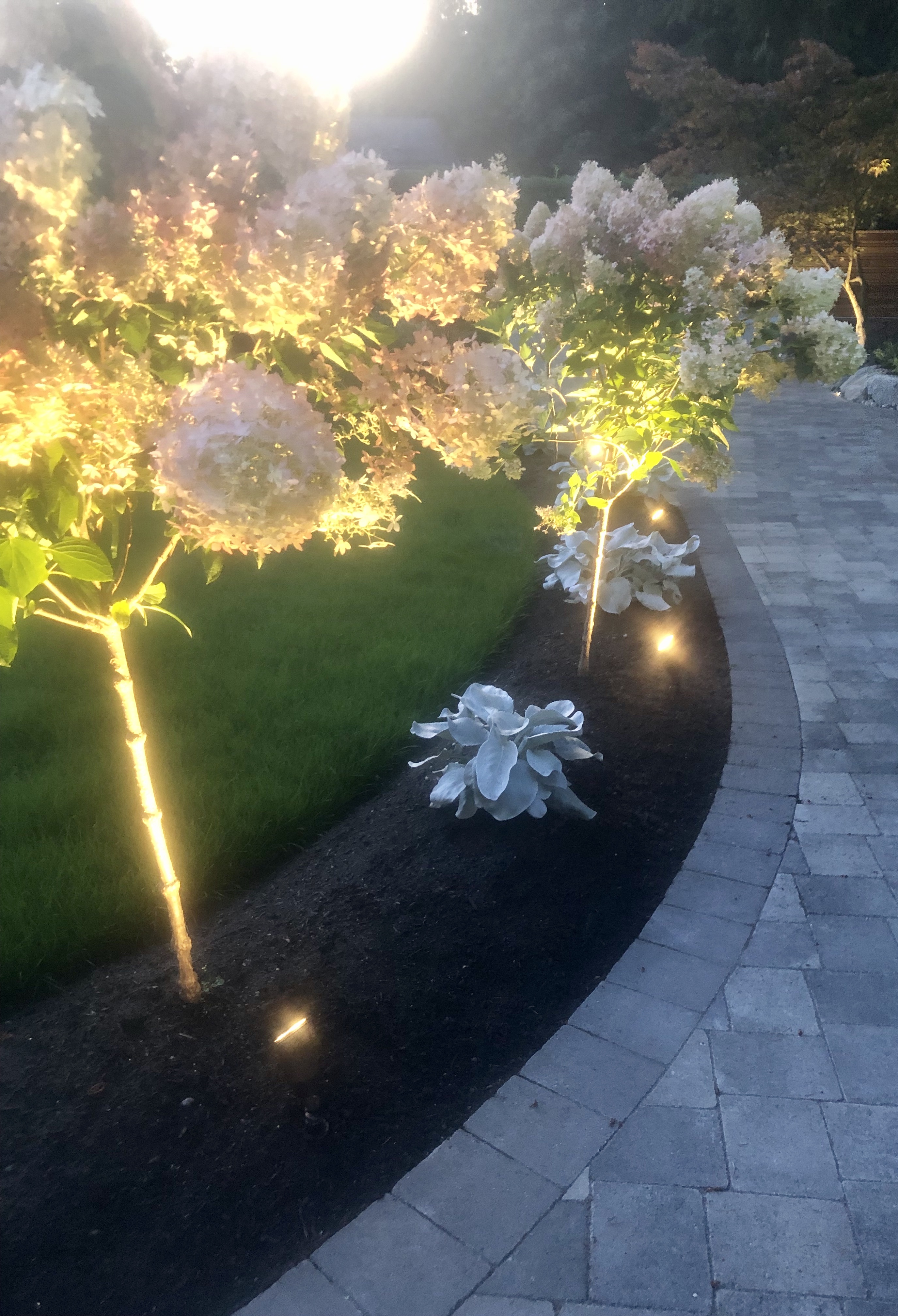 Beautiful landscape lighting at night